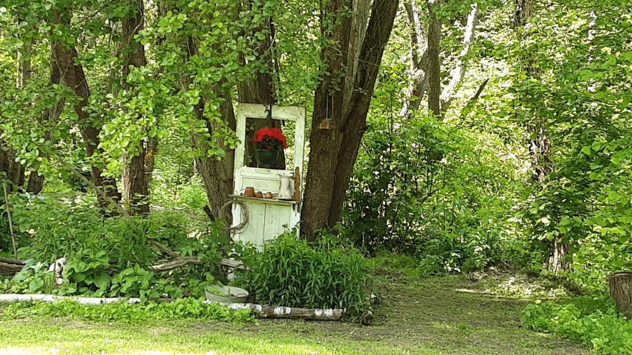Le Clos Du Buisson Saint-Julien-de-la-Liegue Eksteriør billede